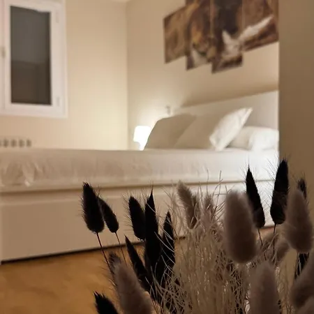 Apartamentos Suites Iscar *