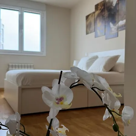 Apartamentos Suites Iscar Appartement