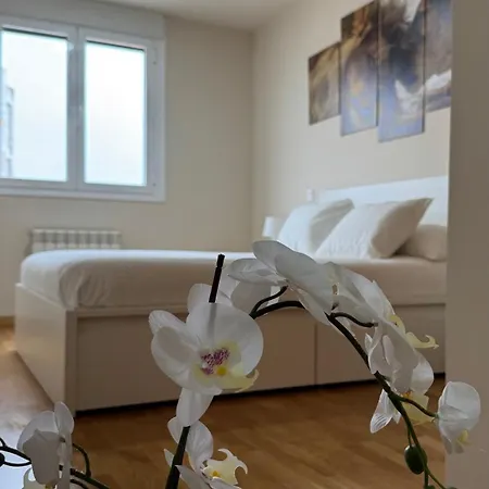 Apartamentos Suites Iscar Apartament *